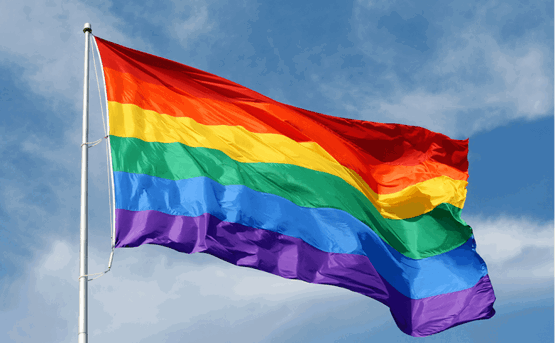 LGBT Pride Flag 