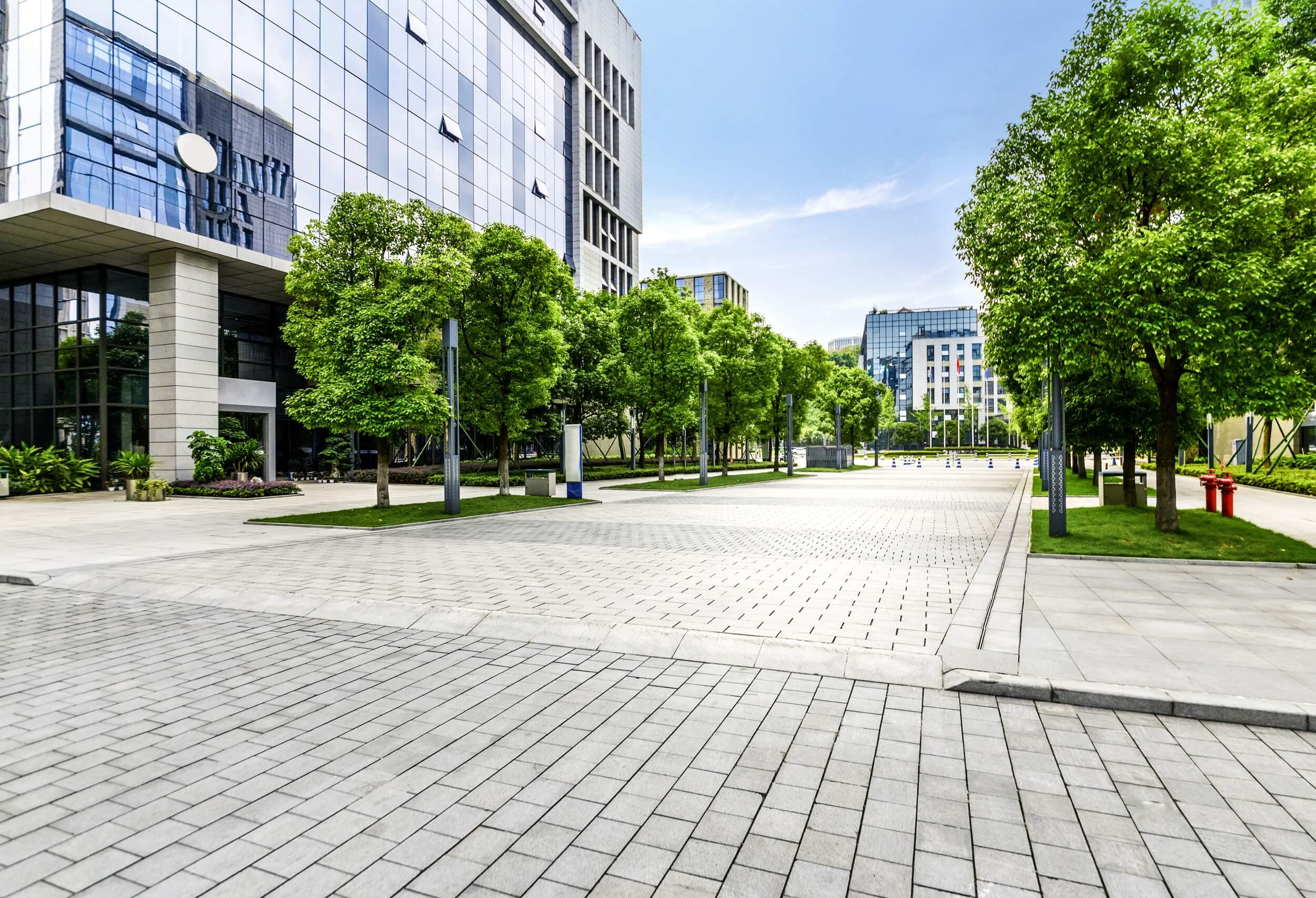 Trees and green space outside a modern building