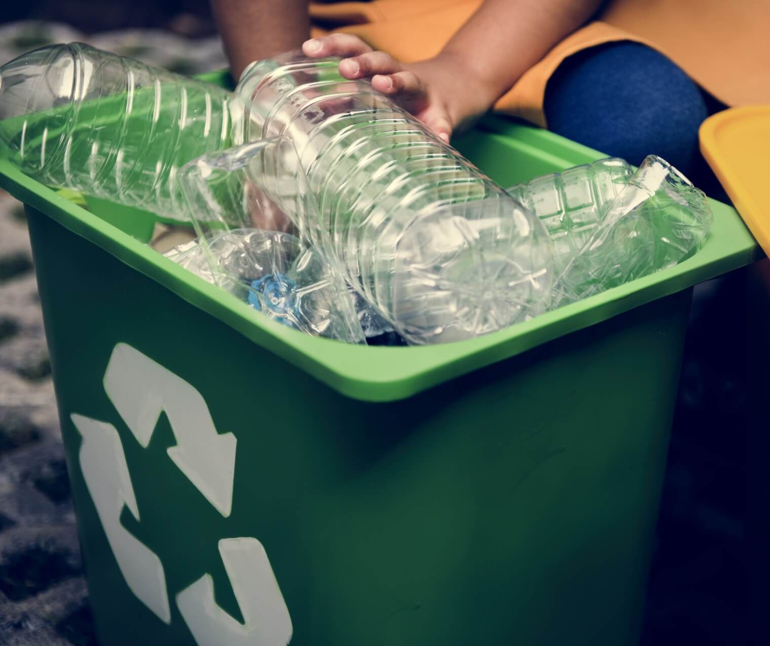 Plastic bottles in the recycling bin