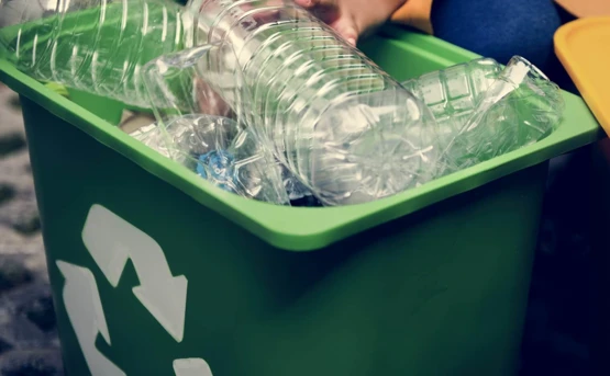Plastic bottles in the recycling bin