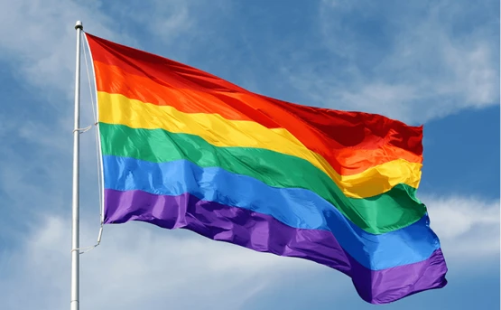 LGBT Pride Flag 