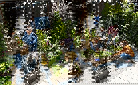 Group of people gardening allotment beds