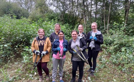 Six colleagues from People team volunteering in a woods with sheers 